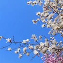 武汉旅游 缩略图 9