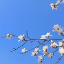 武汉旅游 缩略图 13