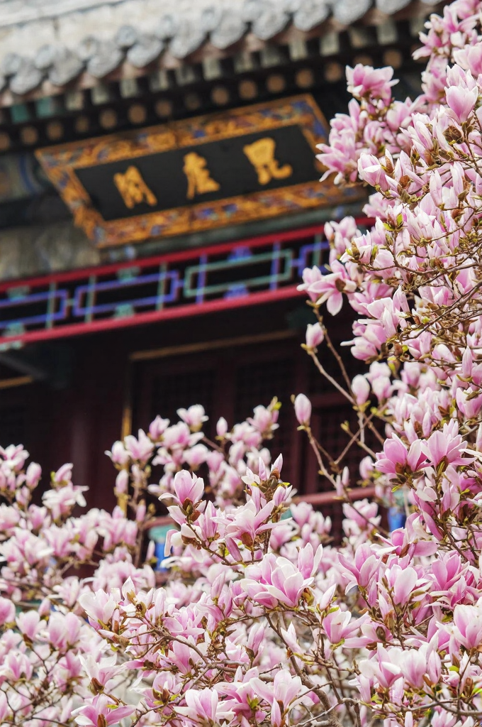 北京旅游
