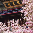 北京旅游 缩略图 1