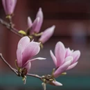 北京旅游 缩略图 2