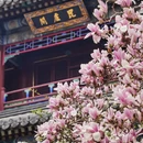 北京旅游 缩略图 7