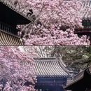 北京旅游 缩略图 9