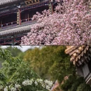 北京旅游 缩略图 6