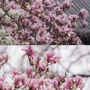 北京旅游 缩略图 14