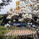 北京旅游 缩略图 12