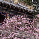 北京旅游 缩略图 3