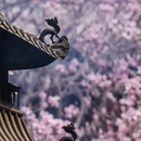 北京旅游 缩略图 4