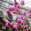 北京旅游 缩略图 11