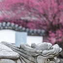 成都旅游 缩略图 8