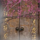 成都旅游 缩略图 9