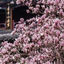 北京旅游 缩略图 16