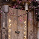 成都旅游 缩略图 13