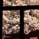 金华旅游 缩略图 9