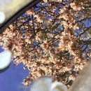 金华旅游 缩略图 10