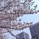 青岛旅游 缩略图 4