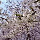 青岛旅游 缩略图 8