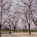 青岛旅游 缩略图 13