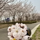 青岛旅游 缩略图 12