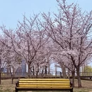 青岛旅游 缩略图 7