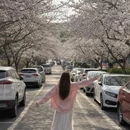 青岛旅游 缩略图 3