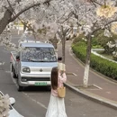 青岛旅游 缩略图 7