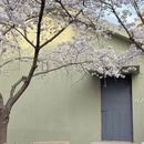 青岛旅游 缩略图 9