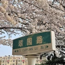 青岛旅游 缩略图 11