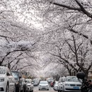 青岛旅游 缩略图 5