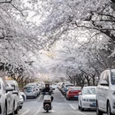 青岛旅游 缩略图 10