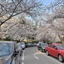 青岛旅游 缩略图 8