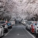 青岛旅游 缩略图 6