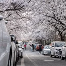 青岛旅游 缩略图 7