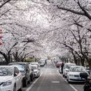 青岛旅游 缩略图 9