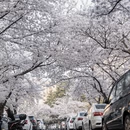 青岛旅游 缩略图 8