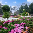 青岛旅游 缩略图 2