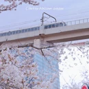 上海旅游 缩略图 1
