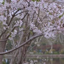上海旅游 缩略图 10