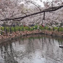 上海旅游 缩略图 11