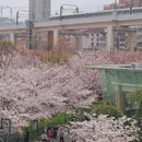 上海旅游 缩略图 3