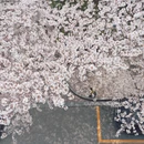 上海旅游 缩略图 5