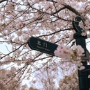 上海旅游 缩略图 12