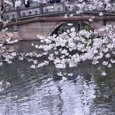 上海旅游 缩略图 14