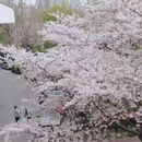 上海旅游 缩略图 15