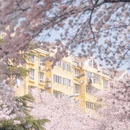 青岛旅游 缩略图 5