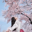 青岛旅游 缩略图 4