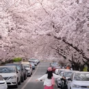青岛旅游 缩略图 2