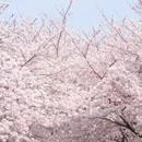 青岛旅游 缩略图 8