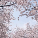青岛旅游 缩略图 6