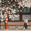 北京旅游 缩略图 13